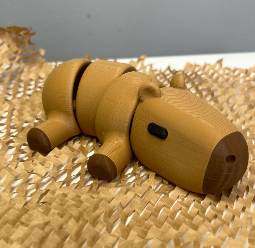 Cute Capybara Fidget Toy