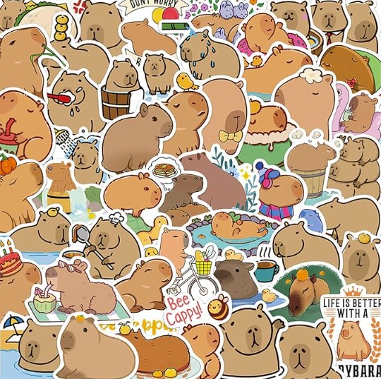 Capybara Waterproof Stickers